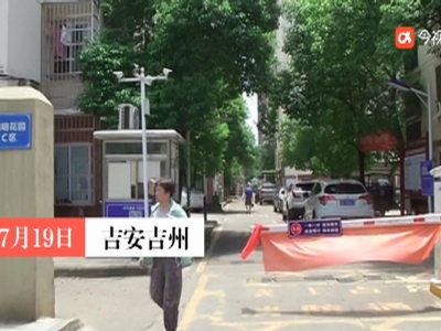 吉安吉州： 宠物狗从天而降  砸伤八旬老太