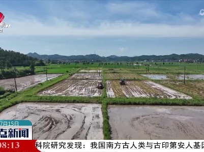 整点新闻20220715 14:00