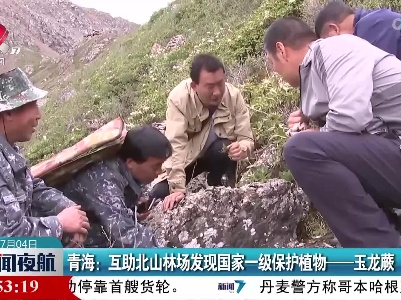 青海：互助北山林场发现国家一级保护植物—玉龙蕨