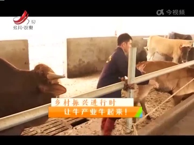 稻花香里20220711 乡村振兴进行时——让牛产业牛起来！