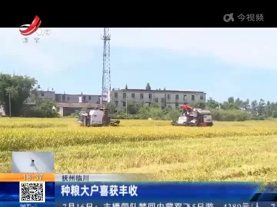 抚州临川：种粮大户喜获丰收