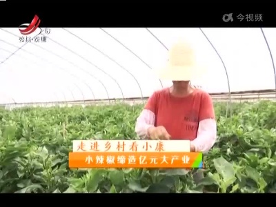 稻花香里20220701 走进乡村看小康——小辣椒缔造亿元大产业