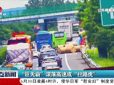 “巨无霸”滚落高速成“拦路虎”