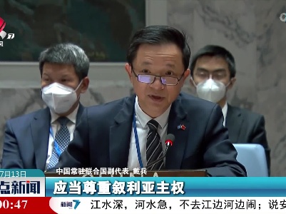 中方欢迎安理会通过叙利亚跨境人道救援授权延期决议