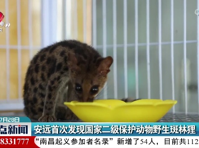 安远首次发现国家二级保护动物野生斑林狸