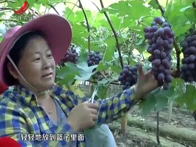五哥帮忙团20220730