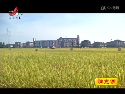 新闻晚高峰20220713