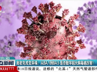 奥密克戎变异株：从BA.1到BA.5是否数字越大病毒越厉害？