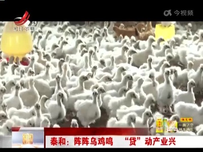 上饶：异地查档 方便市民