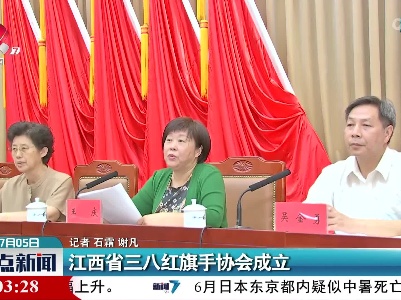 江西省三八红旗手协会成立