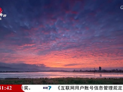 社会传真20220731 香聚金溪 从心出发