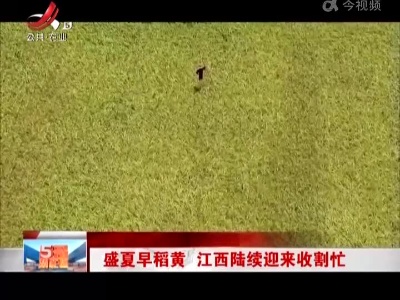 盛夏早稻黄 江西陆续迎来收割忙