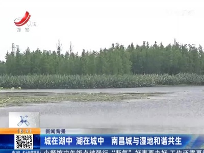 【新闻背景】城在湖中 湖在城中 南昌城与湿地和谐共生