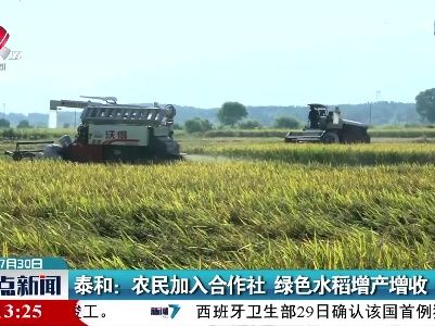 泰和：农民加入合作社 绿色水稻增产增收
