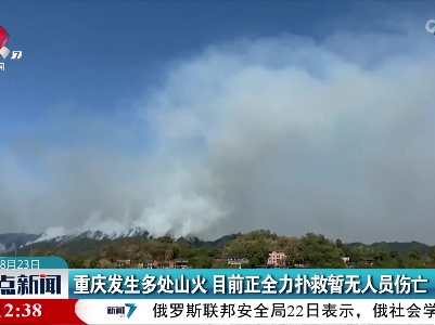 重庆发生多处山火 目前正全力扑救暂无人员伤亡