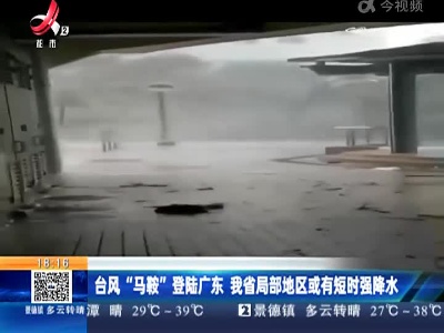 台风“马鞍”登陆广东 我省局部地区或有短时强降水