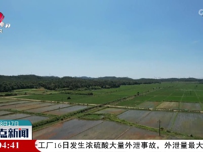 整点新闻20220817 12:00