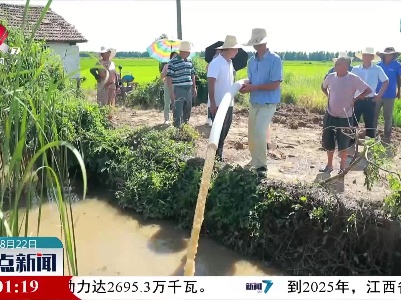【防旱抗旱进行时】科学调度 互相帮扶 将旱情影响降到最低