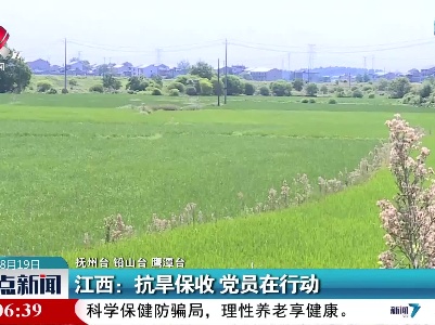 江西：抗旱保收 党员在行动