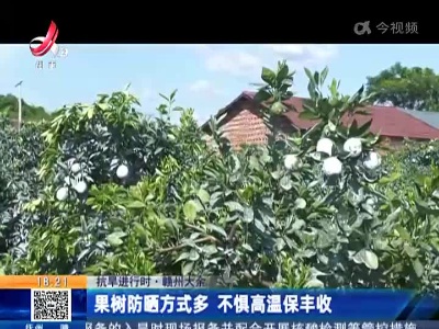 【抗旱进行时】赣州大余：果树防晒方式多 不惧高温保丰收
