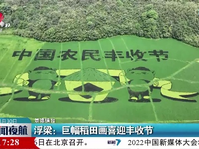 浮梁：巨幅稻田画喜迎丰收节