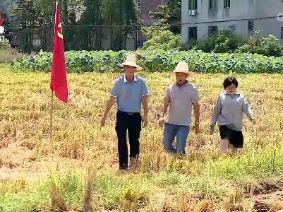 【防旱抗旱进行时】抚州：抗旱保收 党员在行动