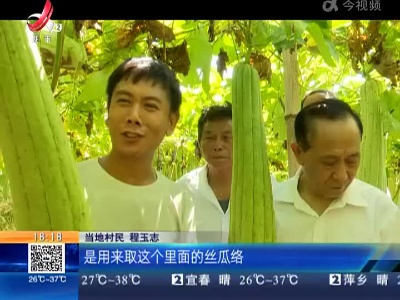 上饶万年：“百变星君”丝瓜瓤 丝瓜络产品受欢迎