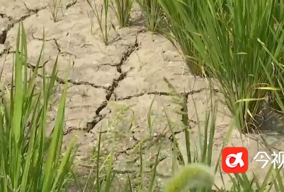 最高气温降至30℃！再坚持2天，江西高温天气将结束