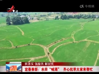 【抓落实 强服务 解民忧】宜春奉新：水田“喊渴” 齐心抗旱大家来帮忙