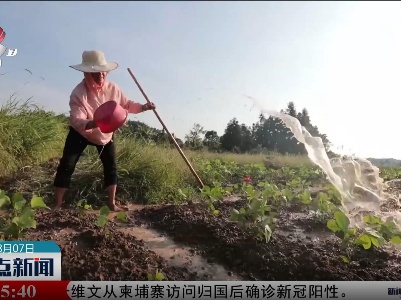 整点新闻20220807 16:00