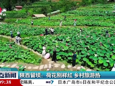 陕西留坝：荷花别样红 乡村旅游热