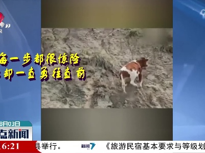 加油 勇敢牛牛不怕困难！
