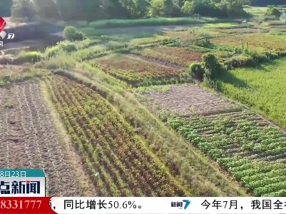 整点新闻20220823 10:00