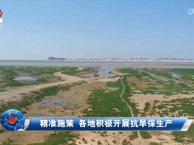 社会传真20220815 精准施策 各地积极开展抗旱保生产