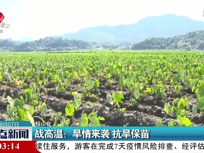 整点新闻20220807 12:00