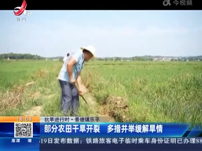 【抗旱进行时】景德镇乐平：部分农田干旱开裂 多措并举缓解旱情