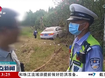 【关注暑期安全】定速巡航解放双脚 一瞬分心酿成事故