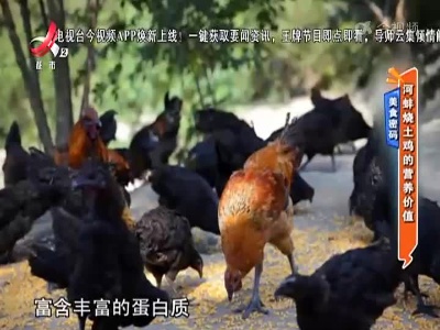 美食密码：河蚌烧土鸡的营养价值