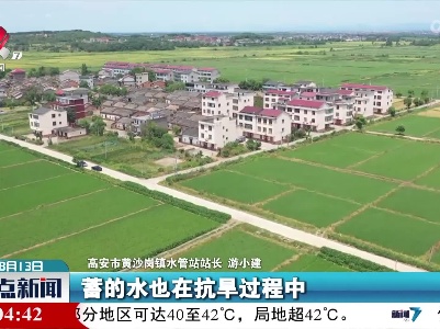 整点新闻20220813 14:00