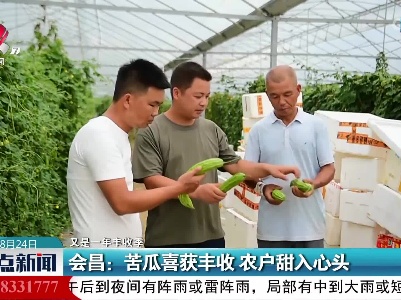 【又是一年丰收季】会昌：苦瓜喜获丰收 农户甜入心头