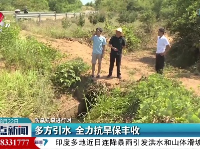 【防旱抗旱进行时】多方引水 全力抗旱保丰收