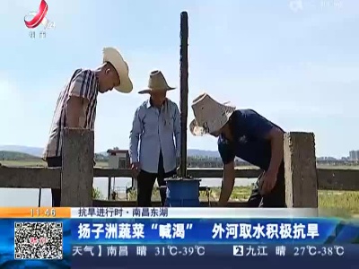 都市现场·午间版20220814