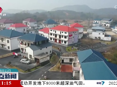 整点新闻20220811 12:00