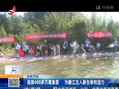 吉安万安：投放400多万尾鱼苗 为赣江注入新生命和活力