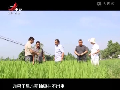 五哥帮忙团20220802