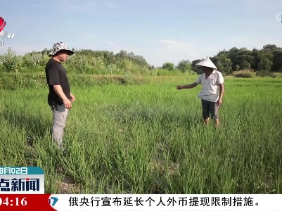 武宁：多措并举开展抗旱工作
