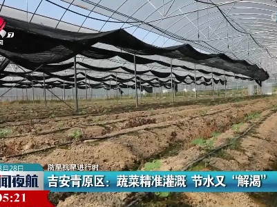 【防旱抗旱进行时】吉安青原区：蔬菜精准灌溉 节水又“解渴”