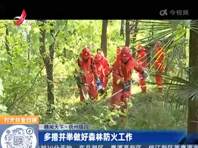【赣闻天下】抚州临川：多措并举做好森林防火工作