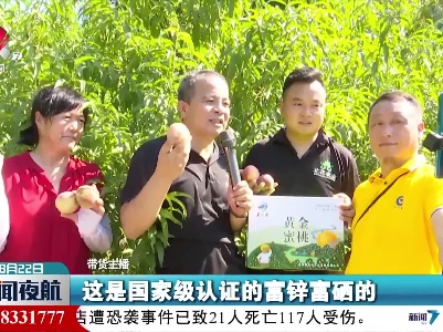 【乡村振兴进行时】李家坊的蜜桃熟了