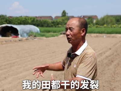 南昌扬子洲镇“反向引流”保菜篮子